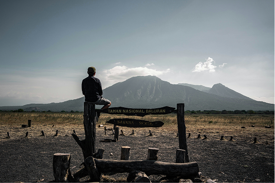 Gunung Baluran
